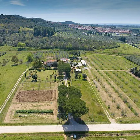 Al Posto Giusto - Sole